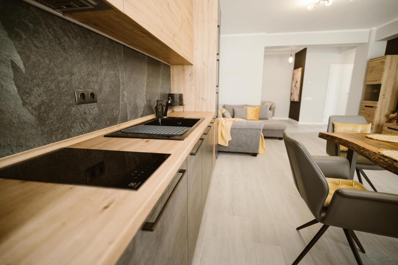 Sibiu Ezonia Central Apartment エクステリア 写真