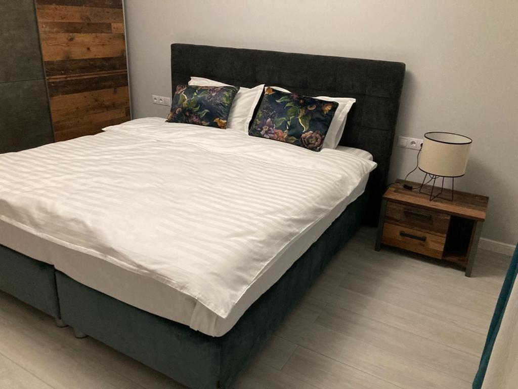 Sibiu Ezonia Central Apartment エクステリア 写真